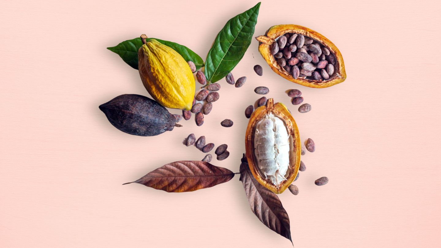 Les suppléments de flavanols de cacao peuvent améliorer la perte de mémoire liée à l'âge