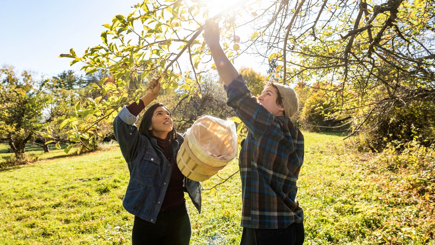 Comment modifier votre routine d'entraînement pour l'automne