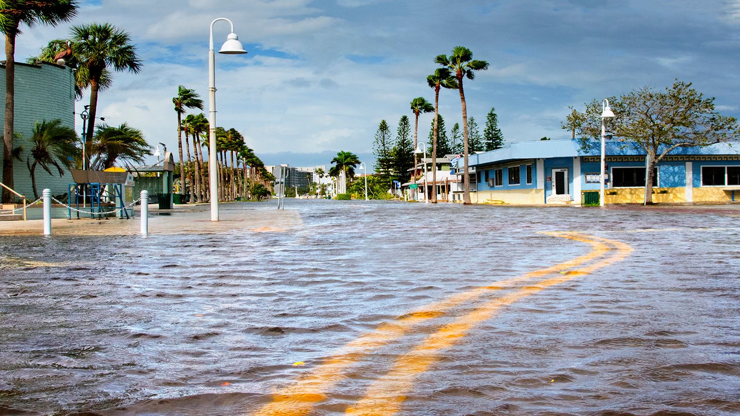 Les bactéries carnivores mettent en danger la Floride après l’ouragan Milton